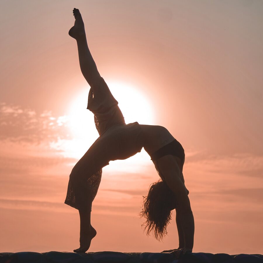 Programa Gimnasia · Adultos