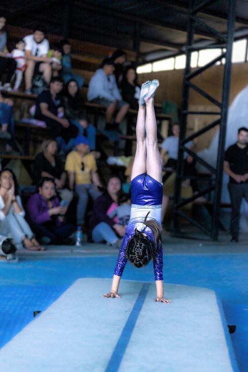 Programa Iniciación