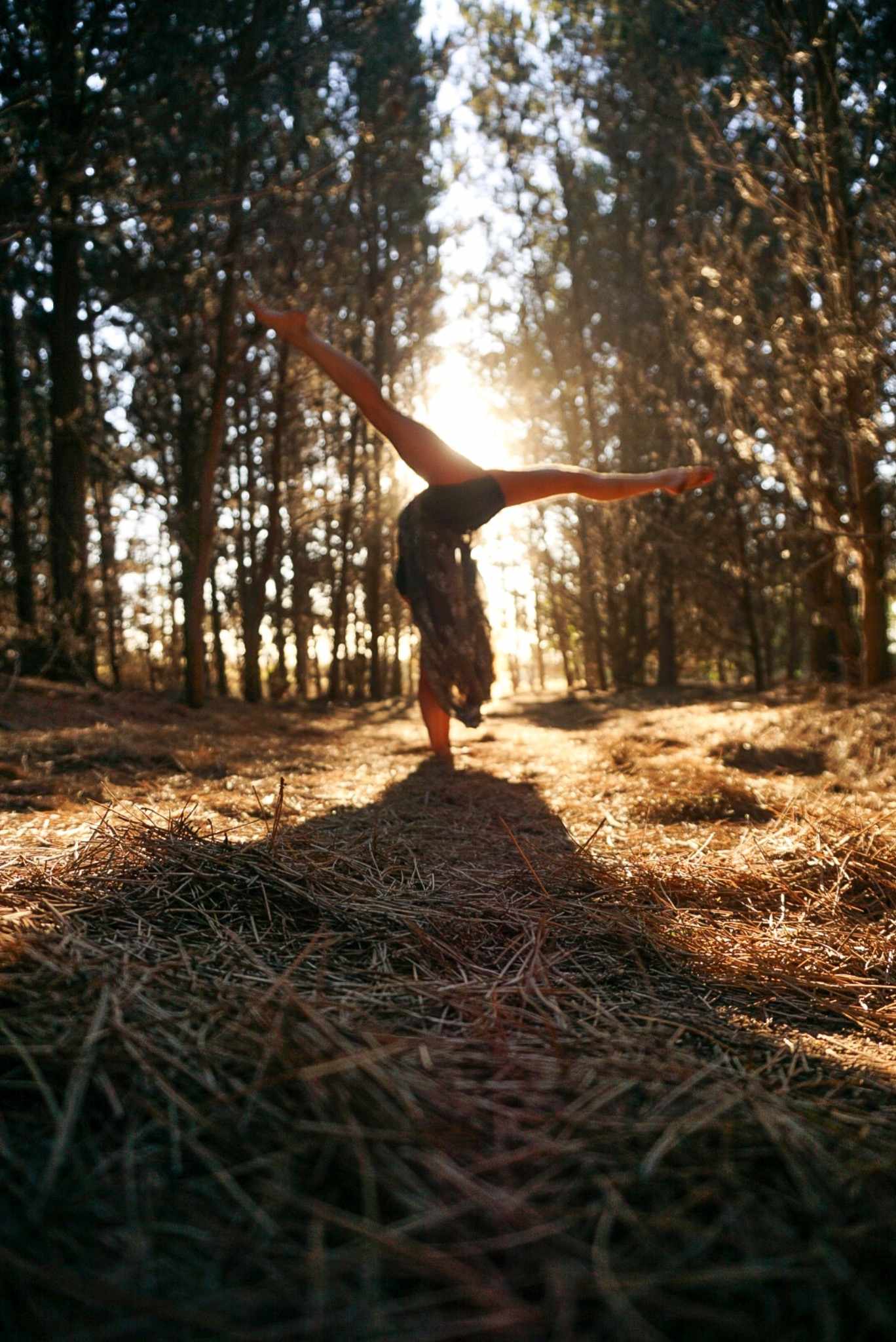 Fotografía y Movimiento
