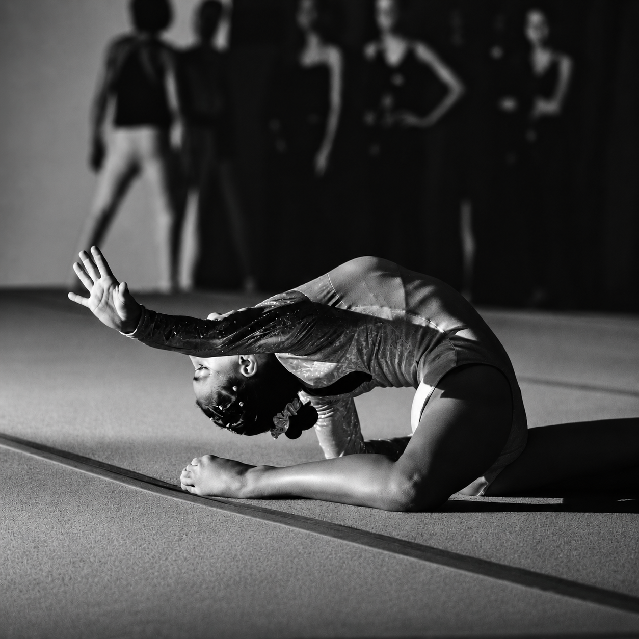 Programa Gimnasia · Junior